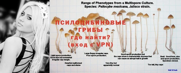 молекула духа Иннополис